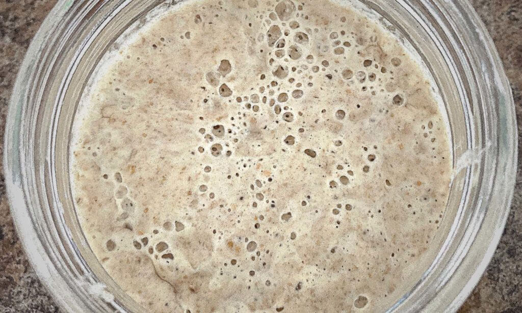 My Learning of Sourdough - Featured Image