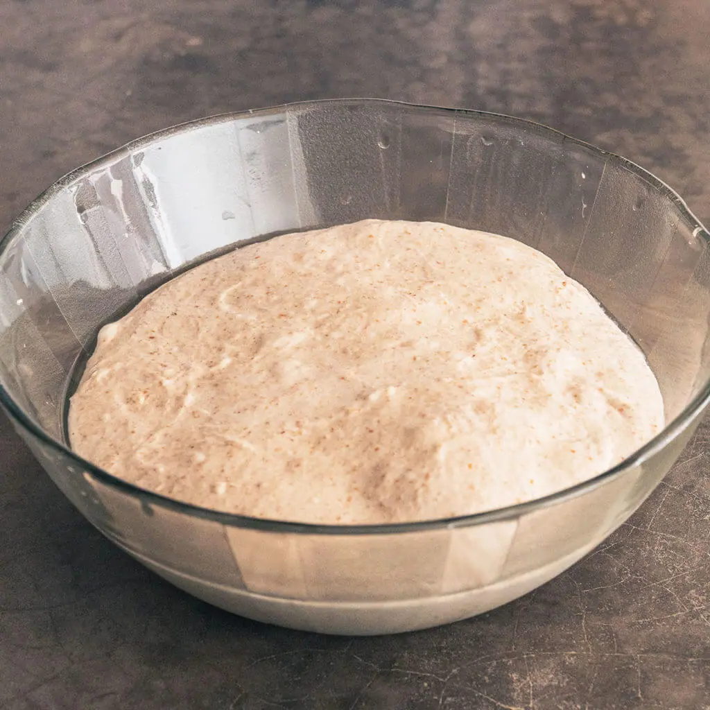 Photo of dough during autolyse period