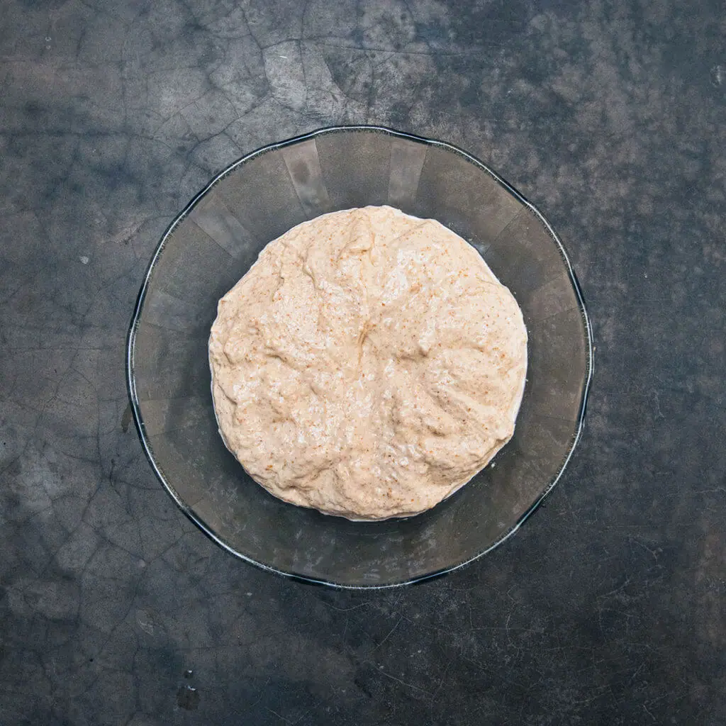 Photo of sourdough autolyse